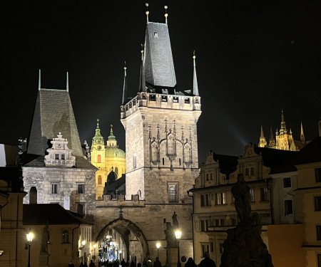 Apartment near the Charles bridge