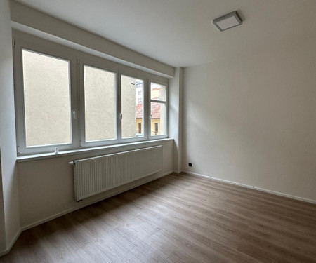 Nice renovated 2+kk apartment in Karlin