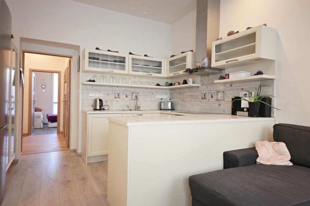 Luxury apartment with 2 bedrooms in Vinohrady