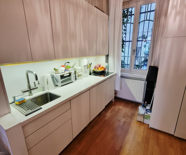 Furnished Flat in Buda, Danube & Parliament View