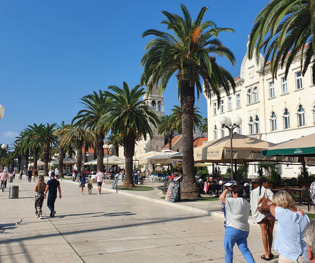 Palm-lined promenade with tourists
