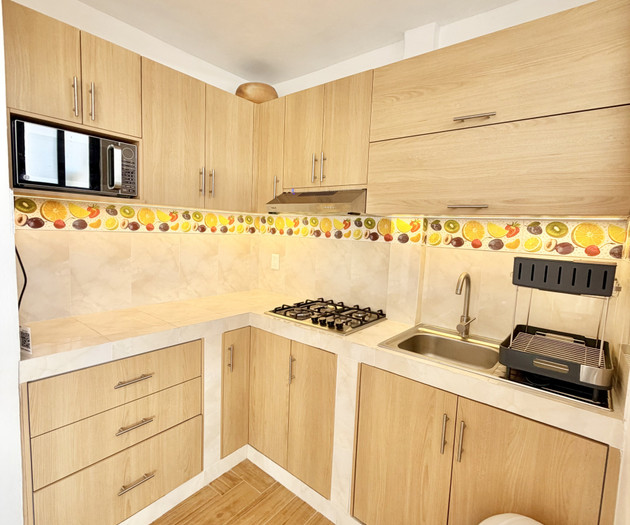 Sky Flat - Two Bedroom Apartment in Jalatlaco