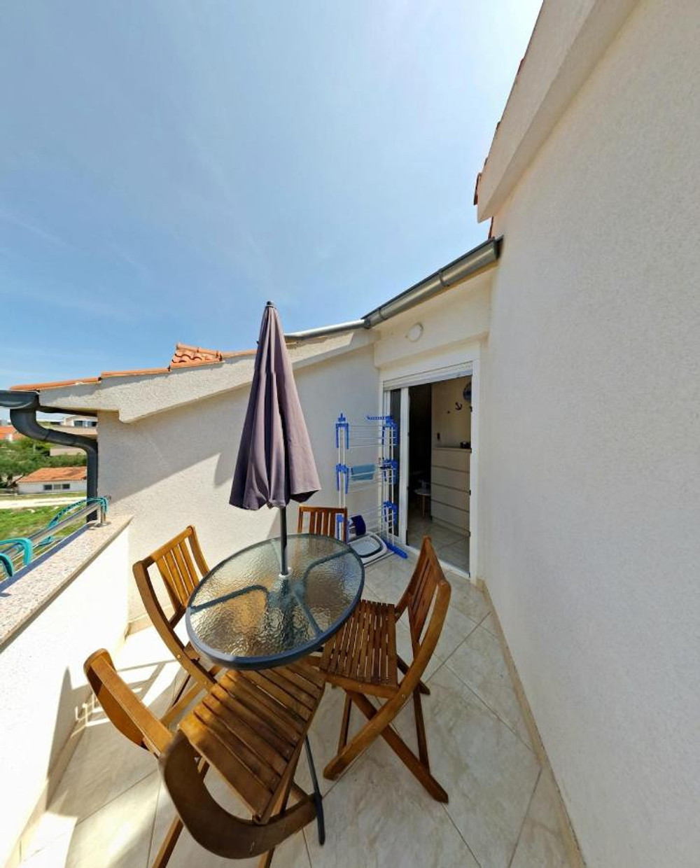 Pine Tree Dalmatia preview