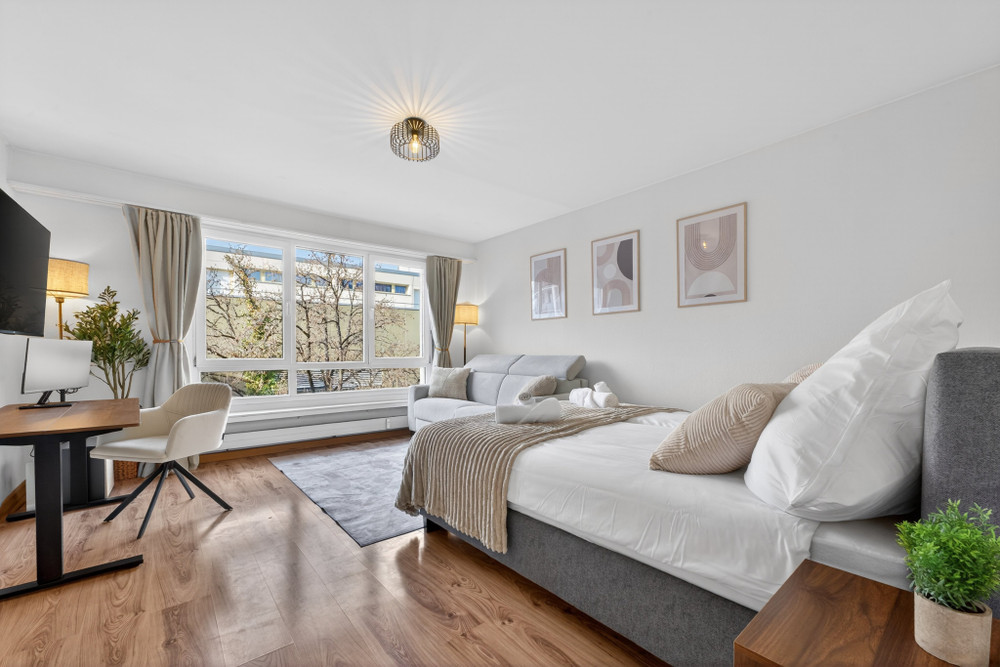 Furnished 1.5-room apartment for 4 people - Basel preview