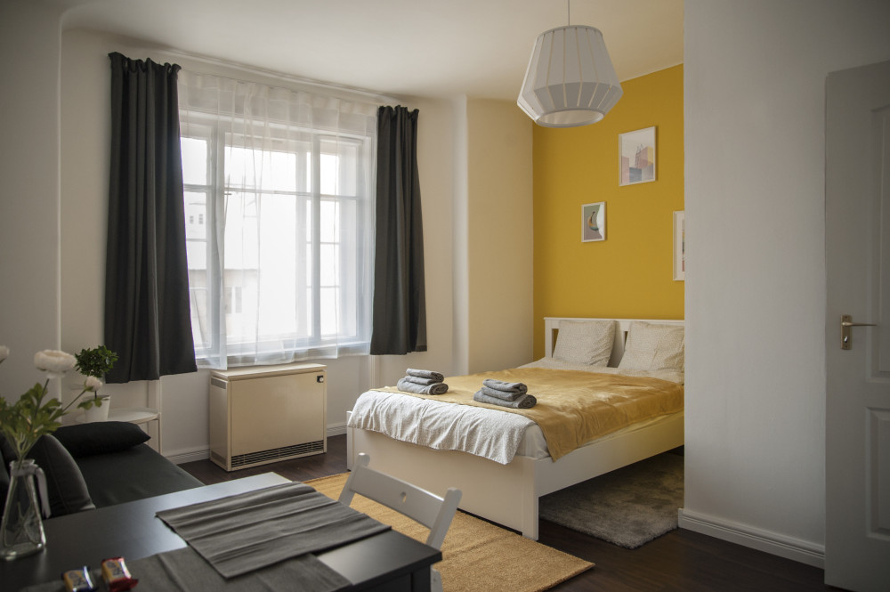 New sunny flat next to Gellert Hill preview