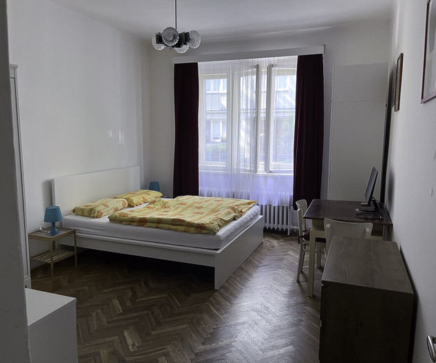 Cozy 1+1 apartment Vinohrady