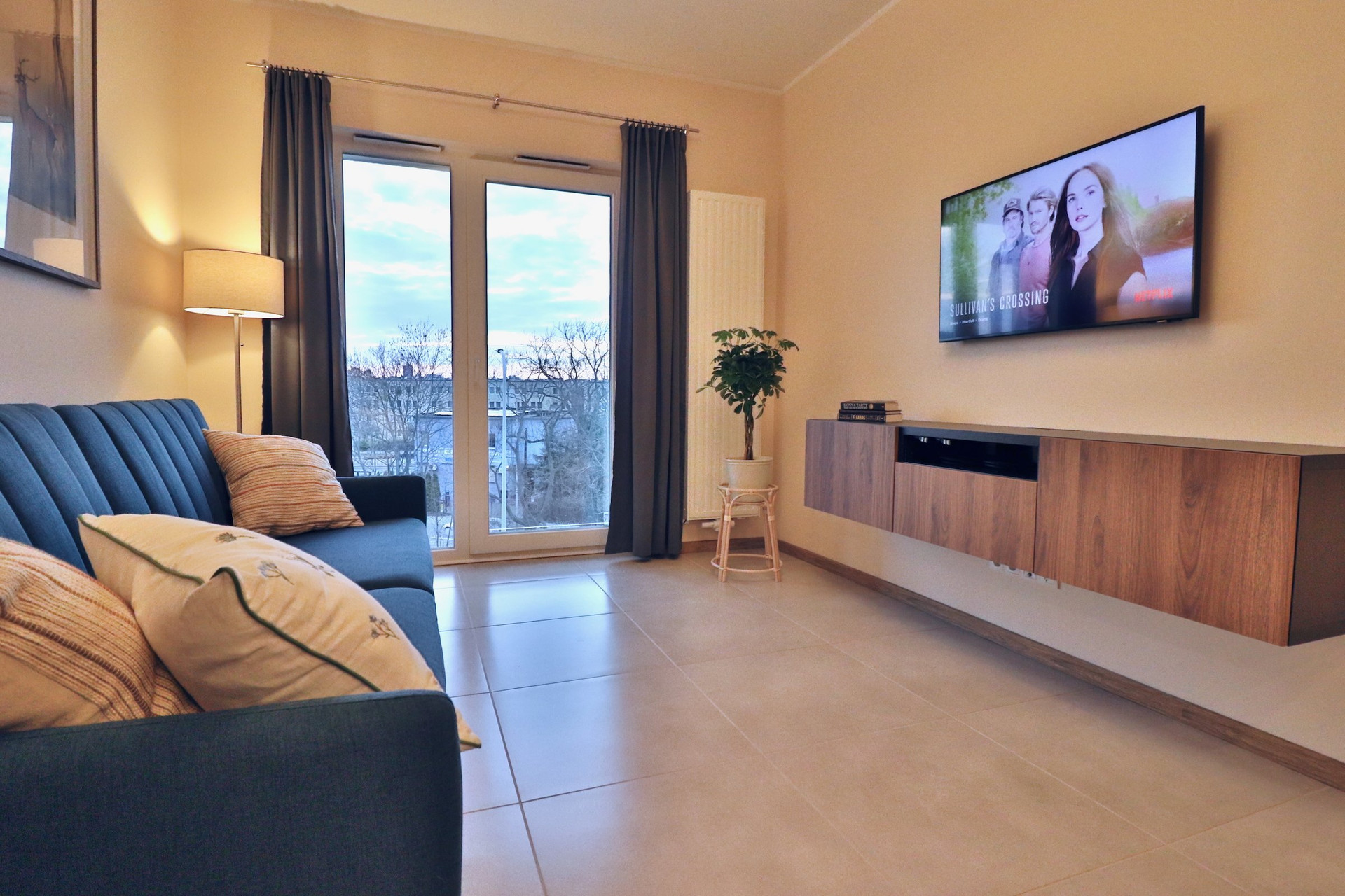 Living room sofa and TV