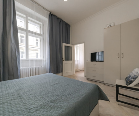 Moderní Ubytování v bytě se samostatnou ložnici.