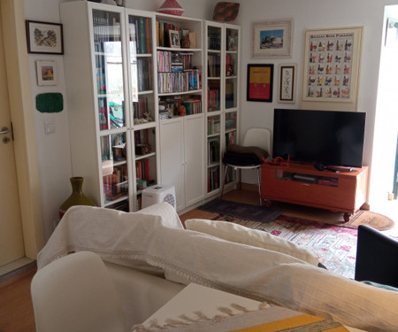 1 bedroom apartment in Santa Apolónia