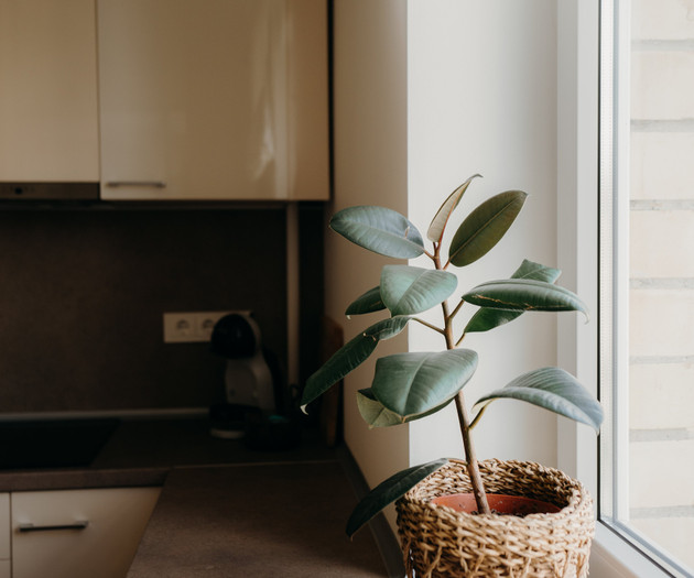 Resort Stories | For Cozy And Comfort Retreat