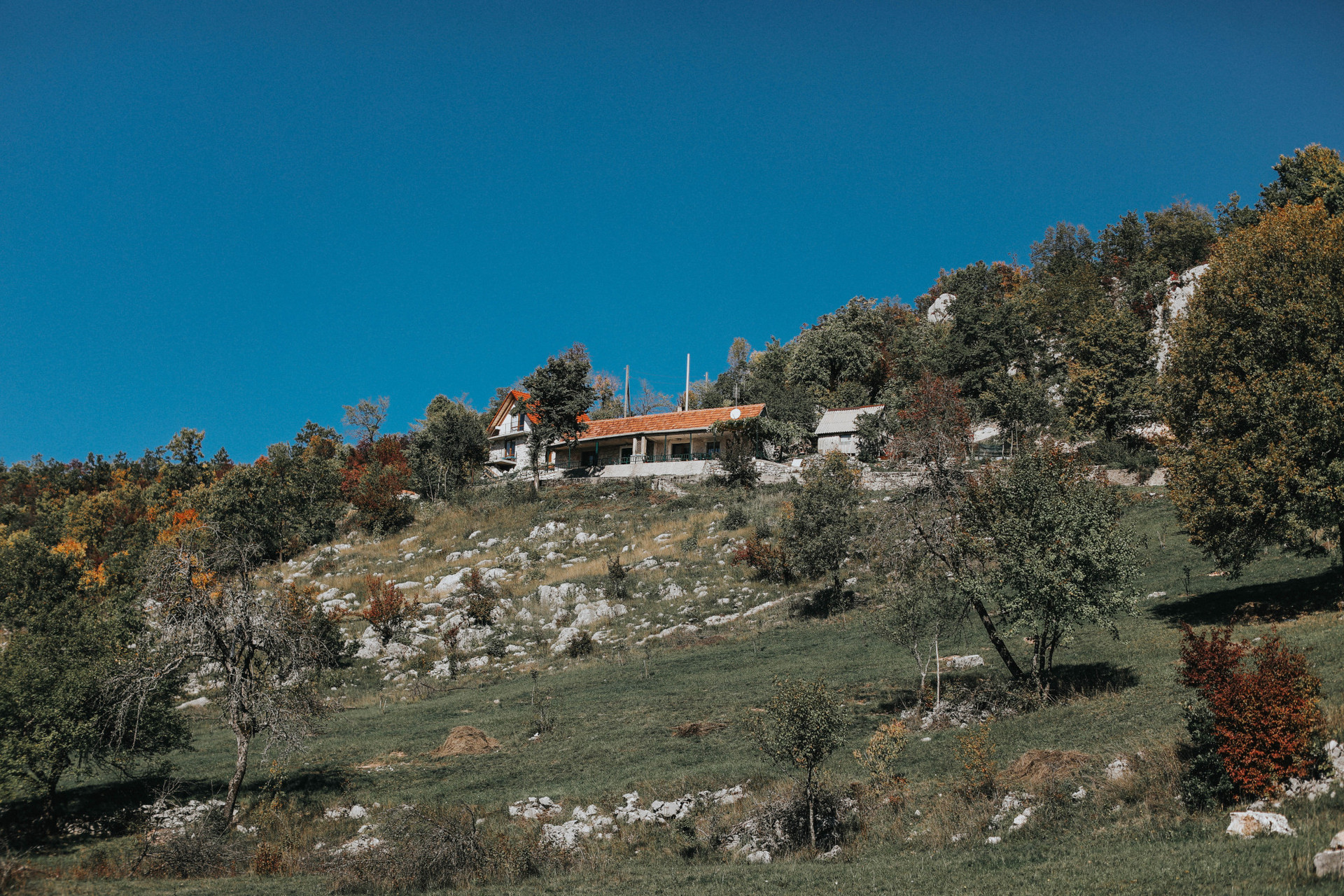 FitCamp Estate