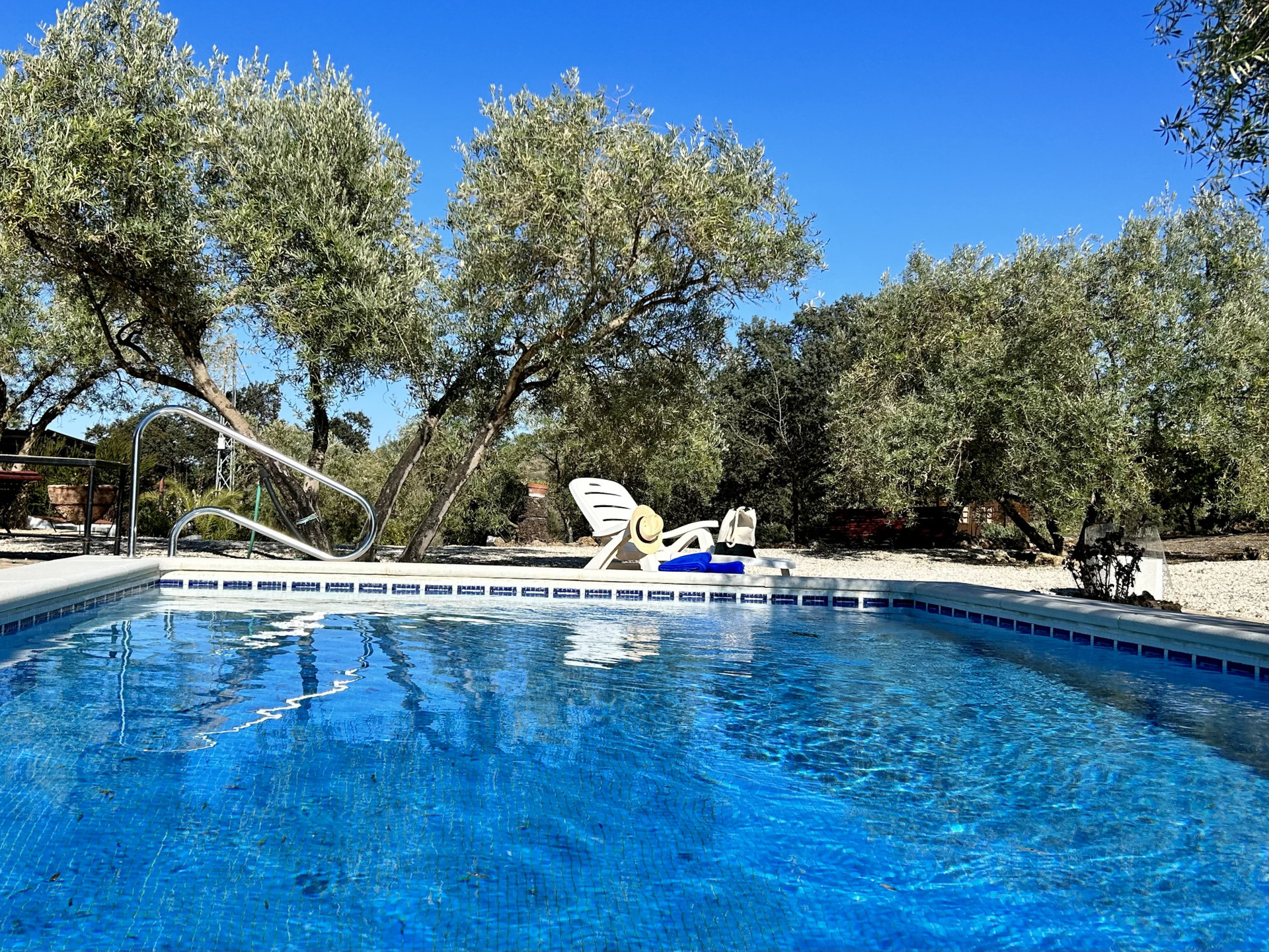 Piscina privada entre olivos 