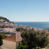 Landlords photo