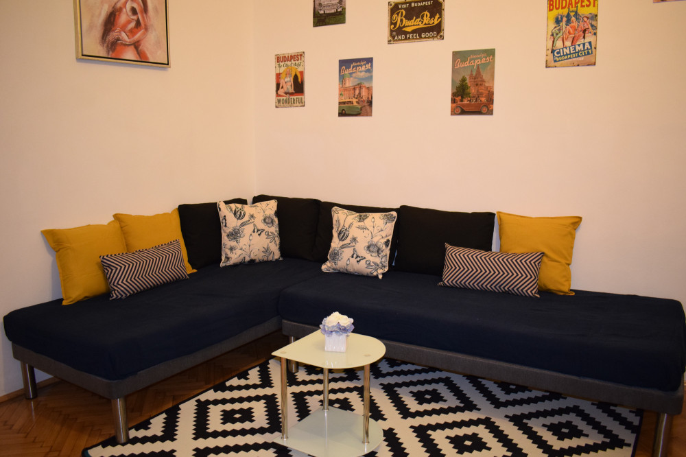 Central Flat, steps to Corvinus University preview