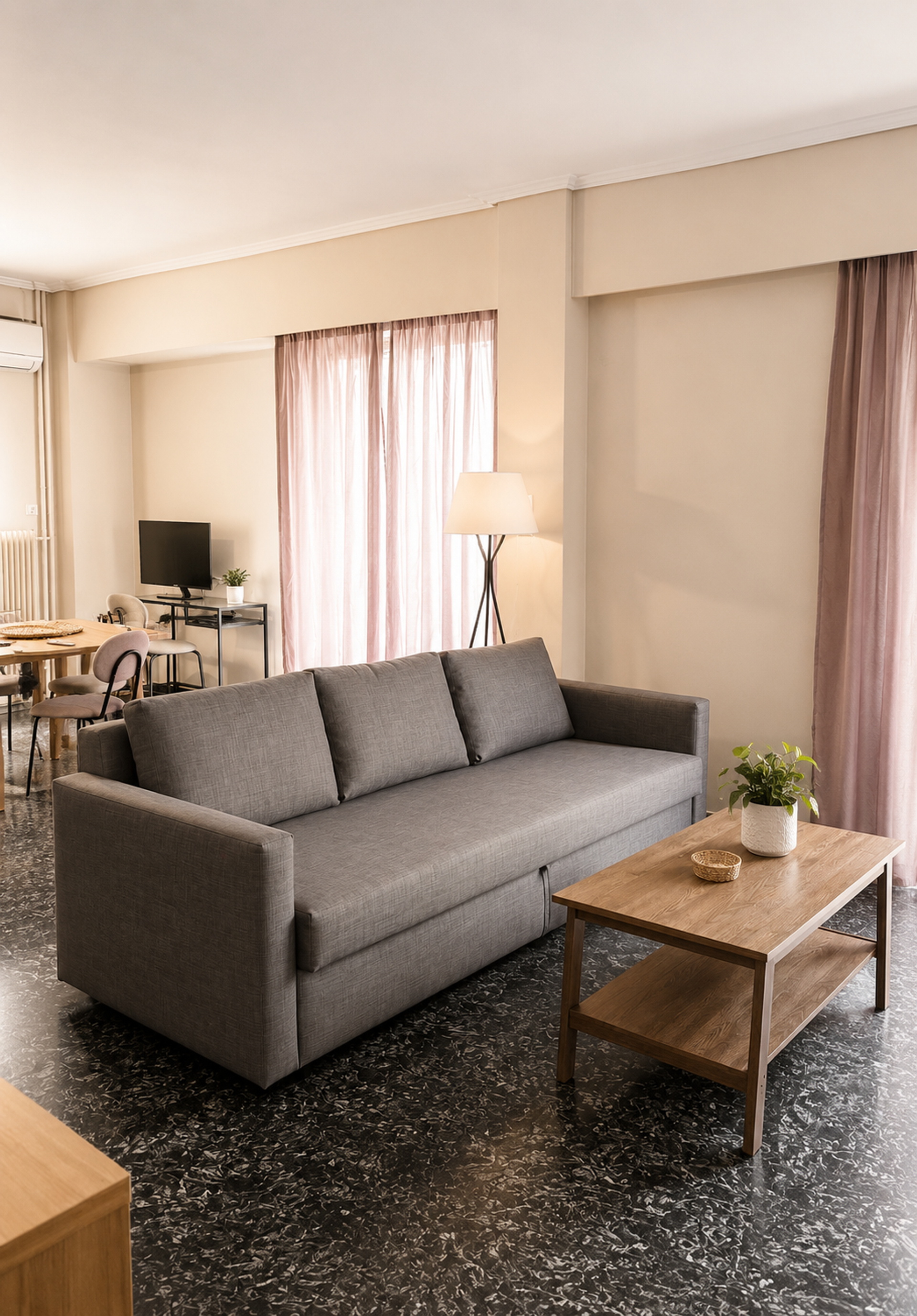 Living room with grey sofa