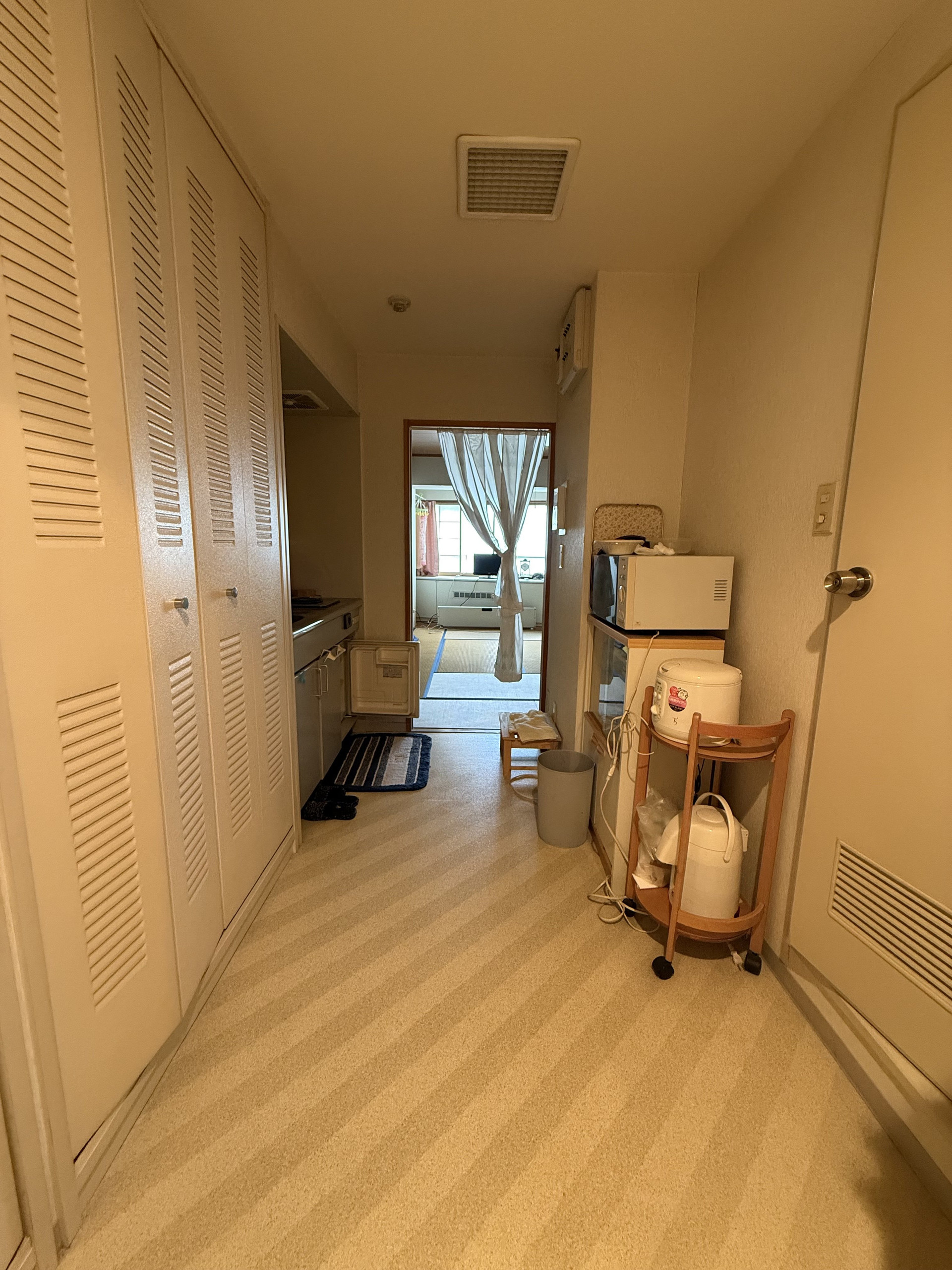 Full efficiency size Japanese kitchen with storage closets