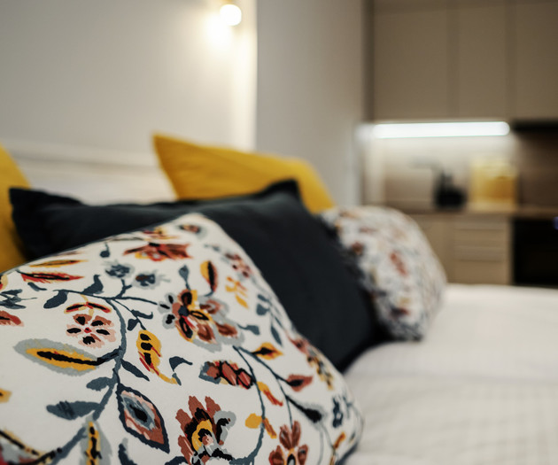 Designer Apartment in the Heart of Brno , 1+kk