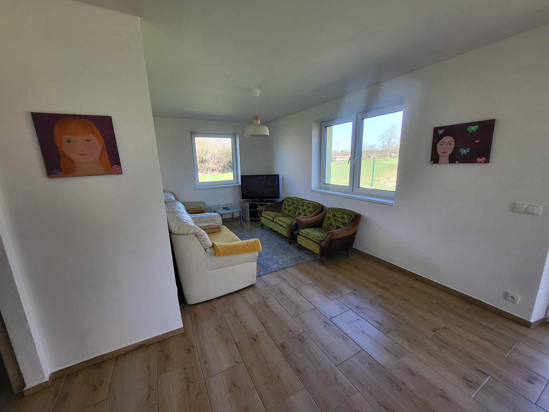Bright living room with sofas TV