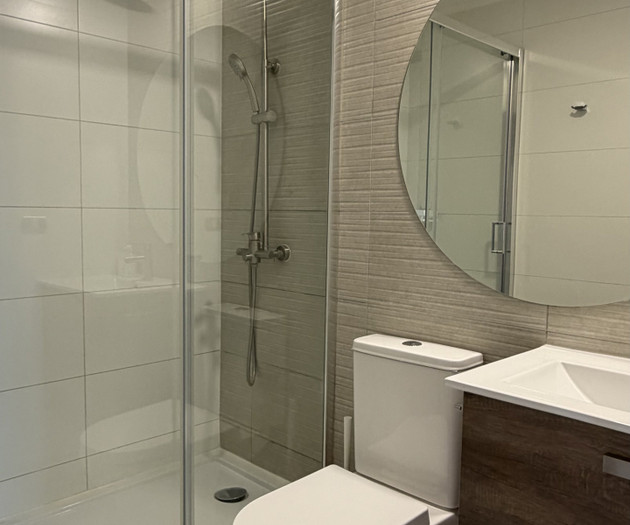 Bathroom shower and toilet area