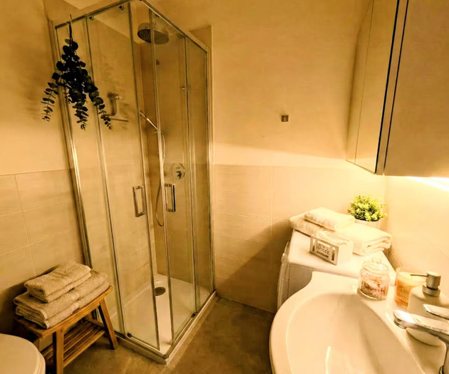 Luxury terrace apartment, park view, private gym