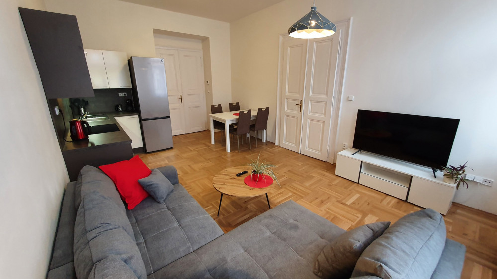 Modern 2 bedroom apartment in the city center preview