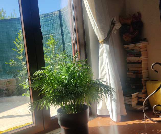 Sunny charm house