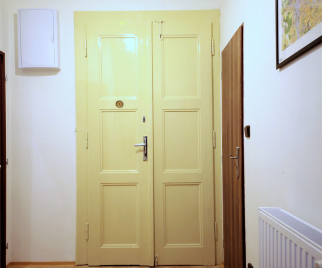 Renovated apartment 1+1 in Letná district