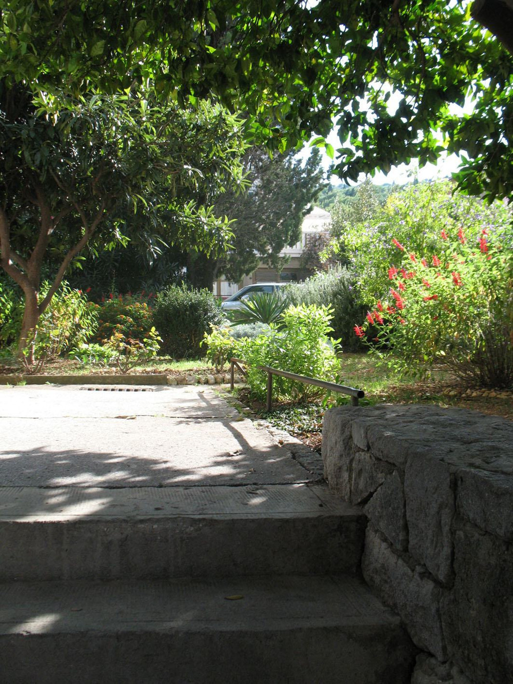 Image #7