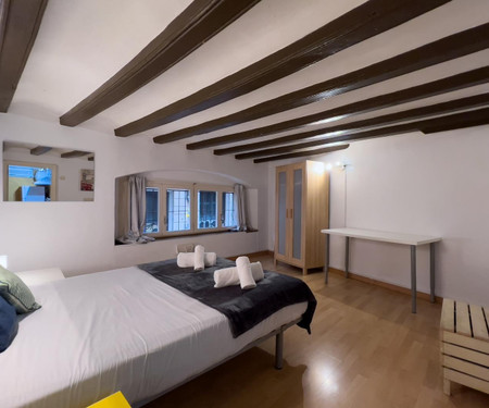 -1 bedroom apartment Barcelona Sant Antoni