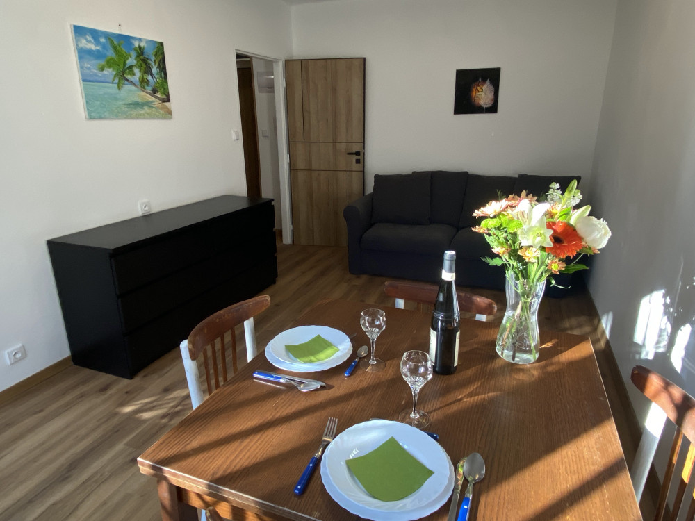 Studio flat in wider center of Prague preview