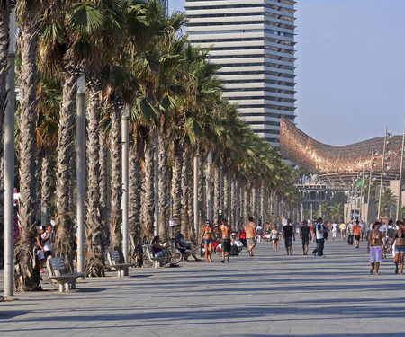 Ciudadela Park 2 - Apartment in Barcelona