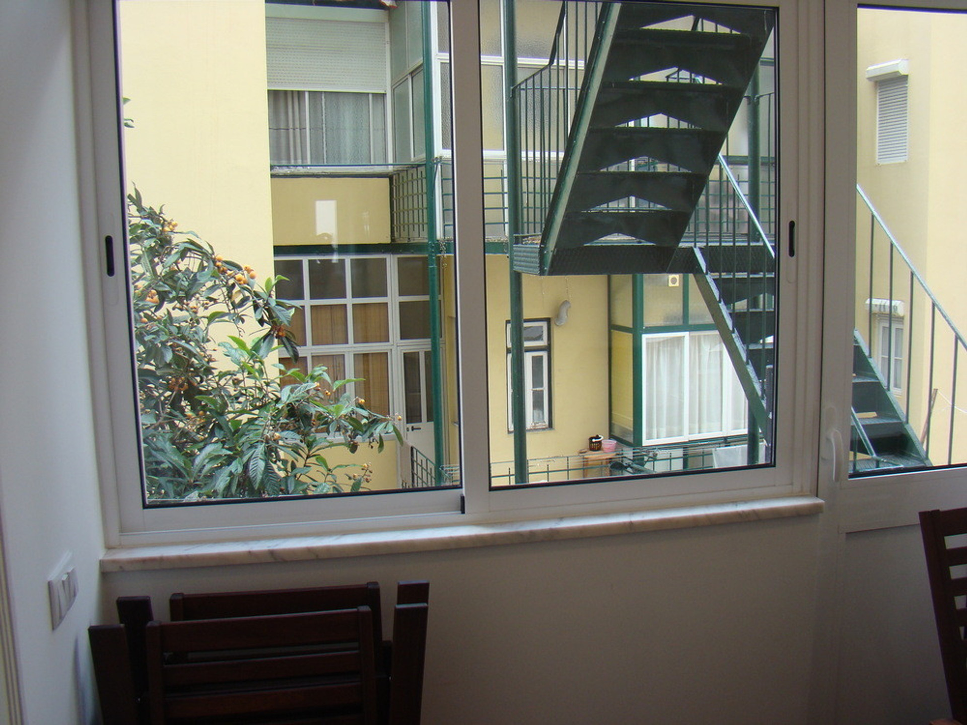 Back Window