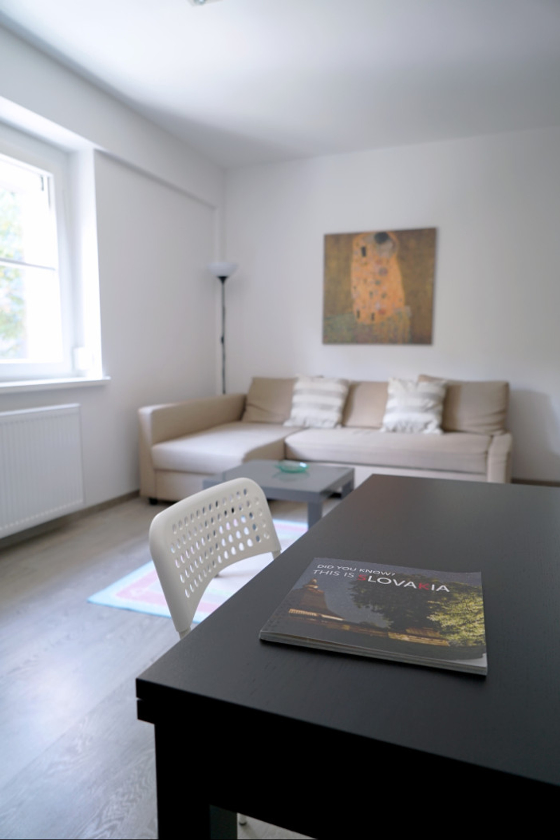 Living room with sofa bed