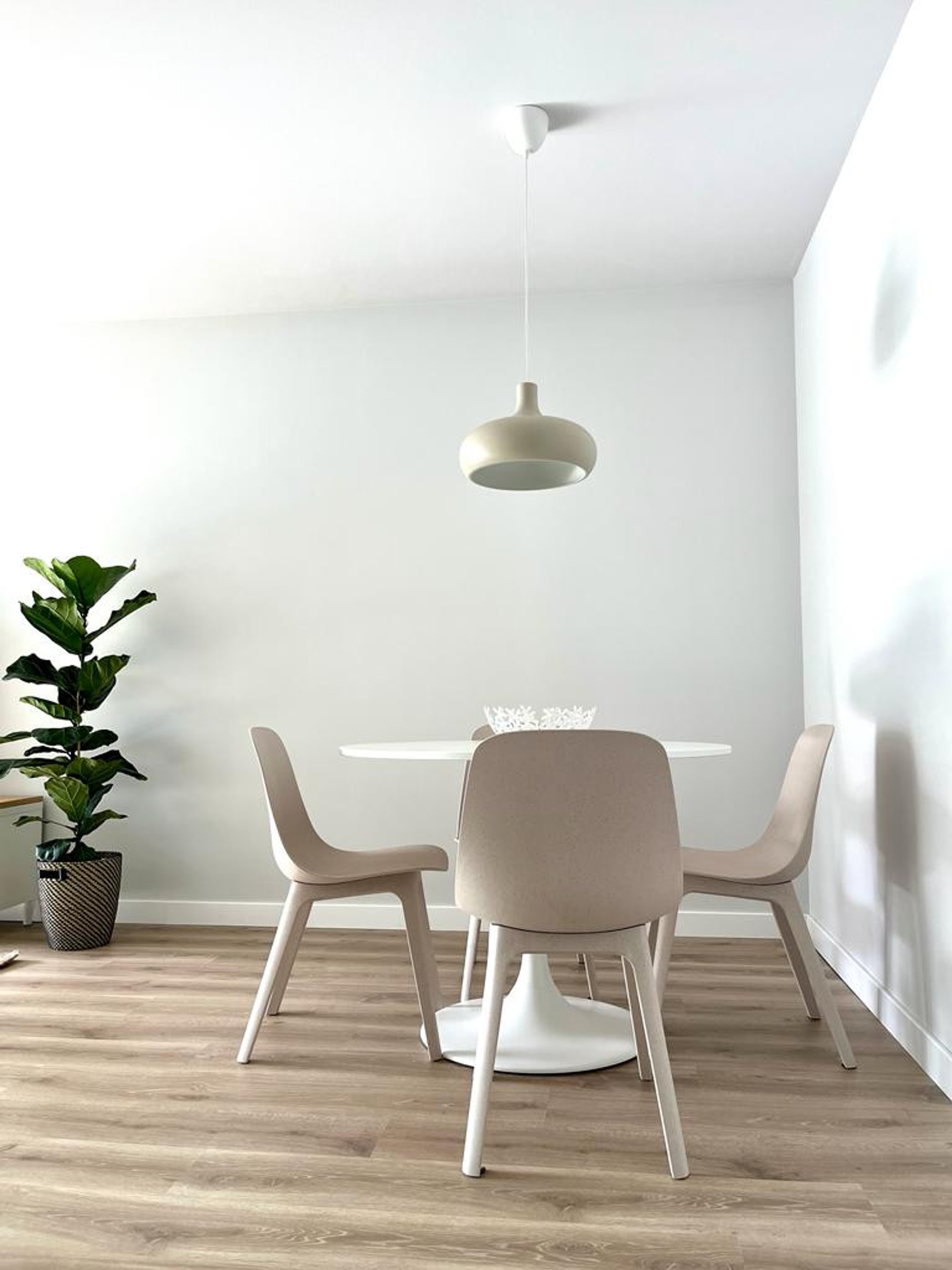 Comedor