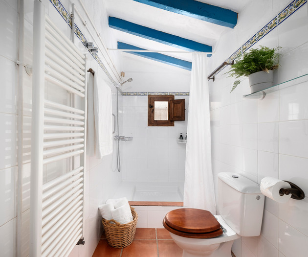 Andalusian country house with private swimming poo