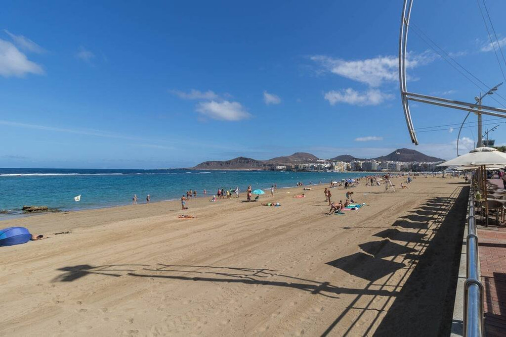 Oli Coral Canteras preview