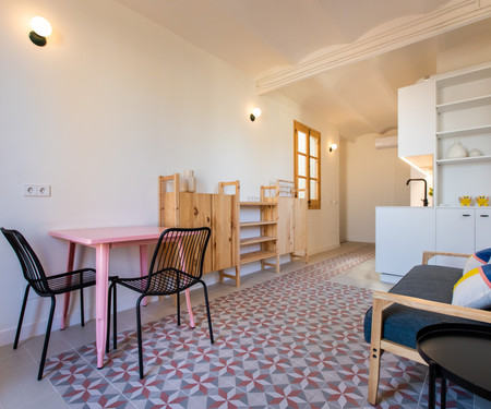 CHEERFUL APARTMENT WITH TERRACE IN GOTHIC QUARTER