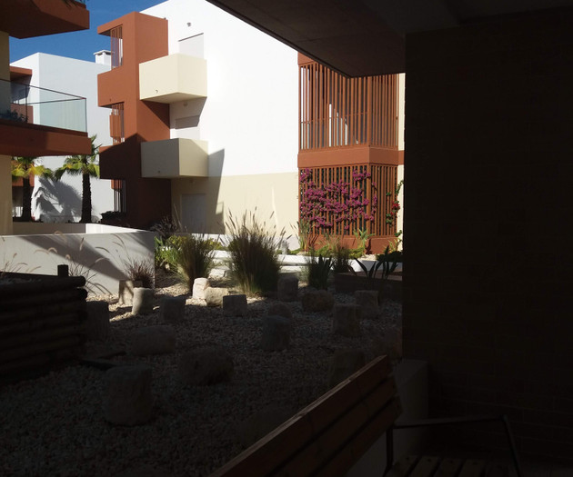 Shaded courtyard garden view