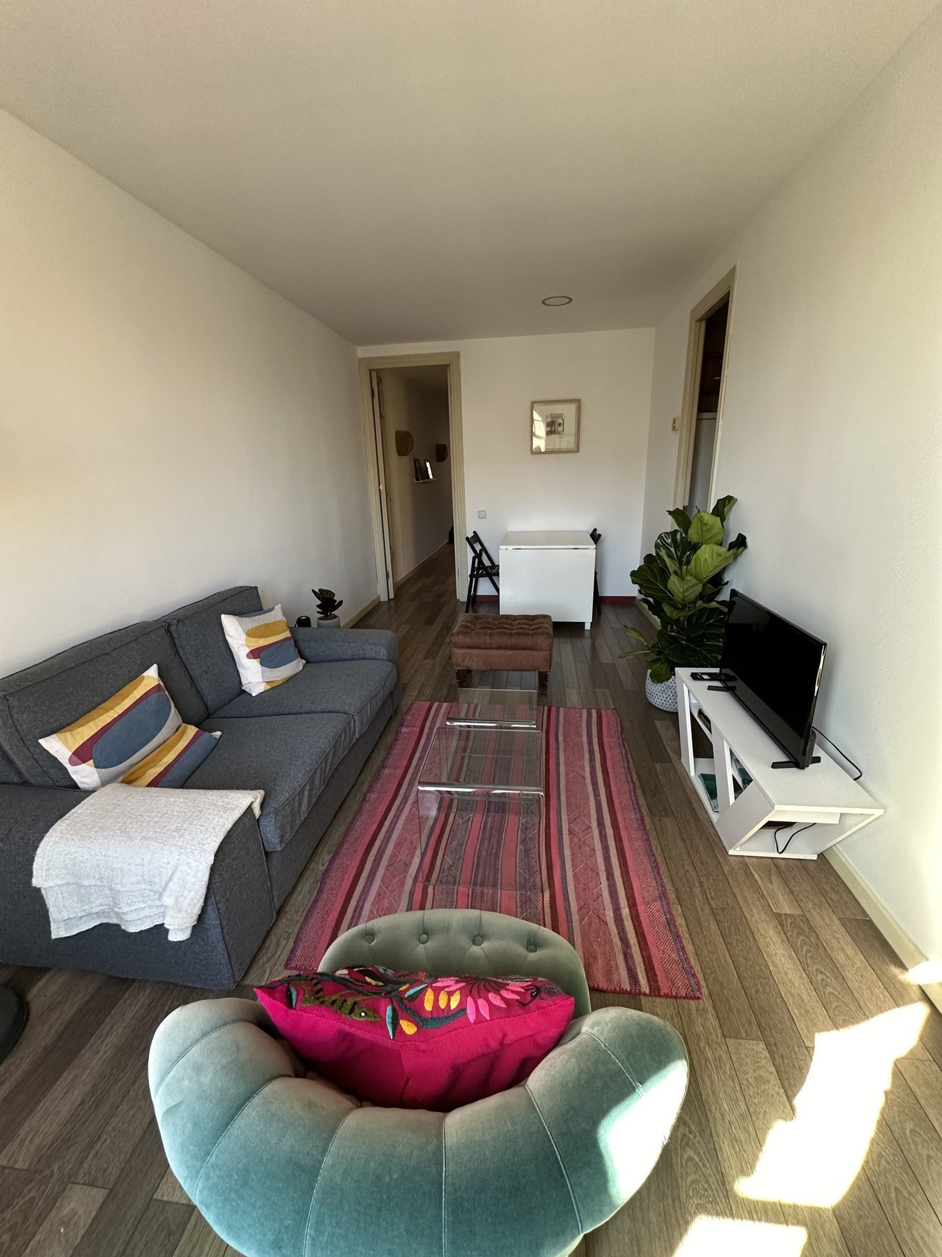 Living room with sofa and TV