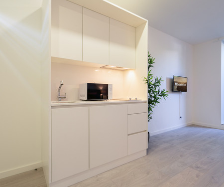 Central Private Flat | Terrace