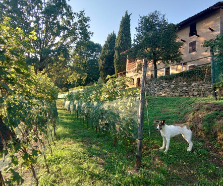 Unique Flat in an old Pidemont Borgo