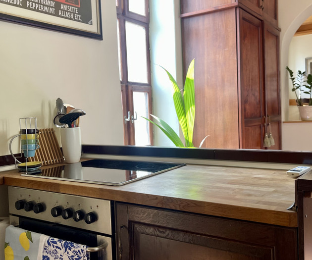 Cosy elegant flat - Servita Square
