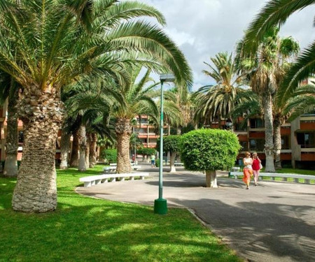 Apartment with garden view in Las Galletas