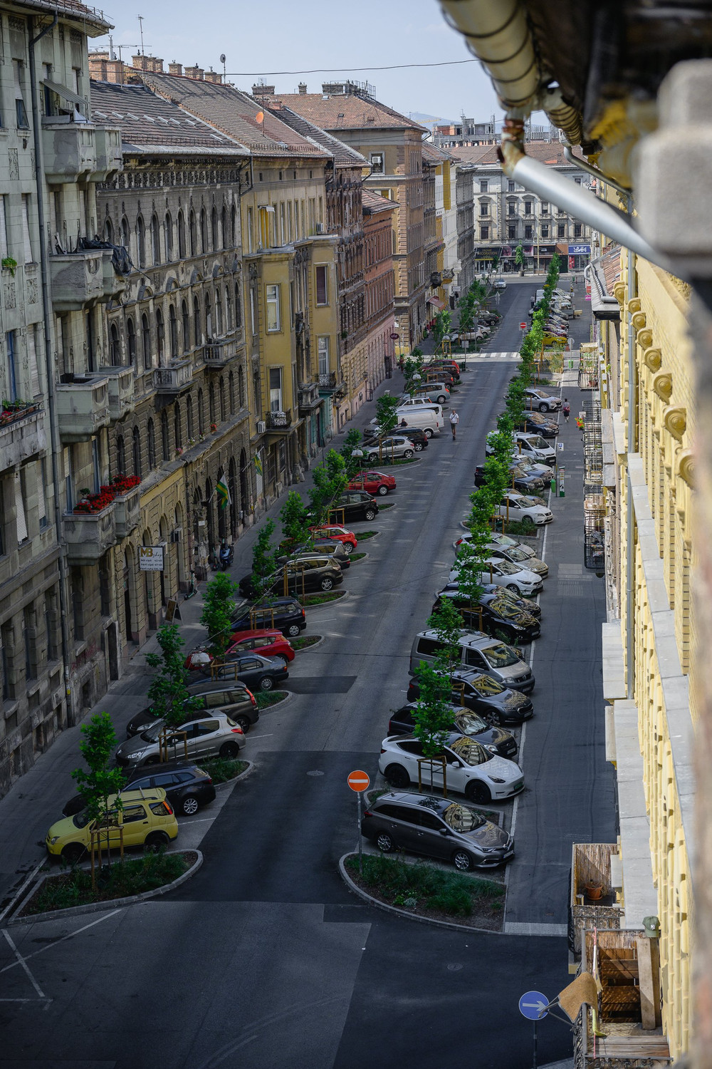 Image #10