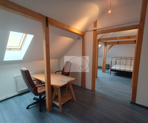 Elegant Duplex in Villa • Central Bucharest