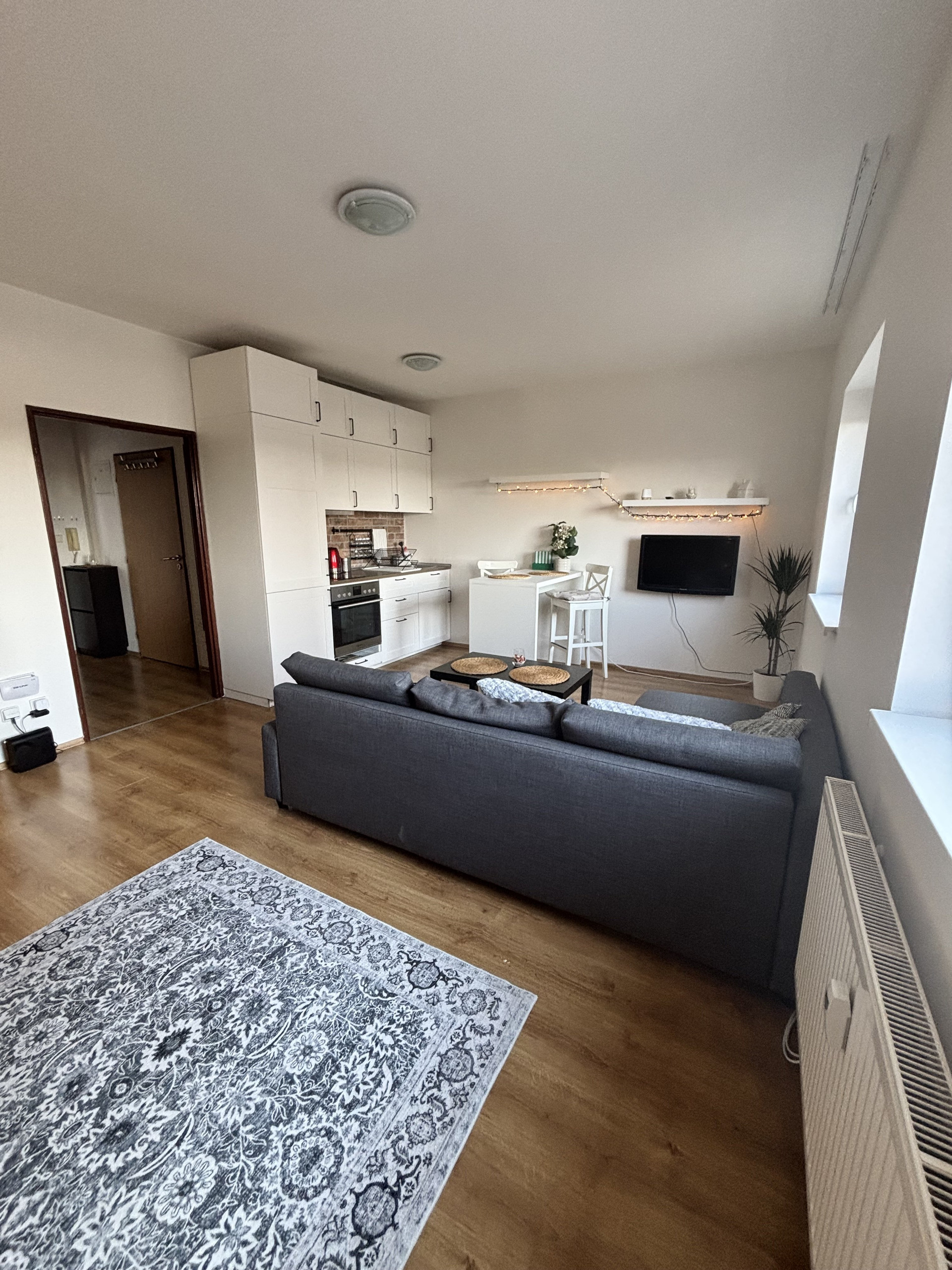 Living room with sofa and kitchen view