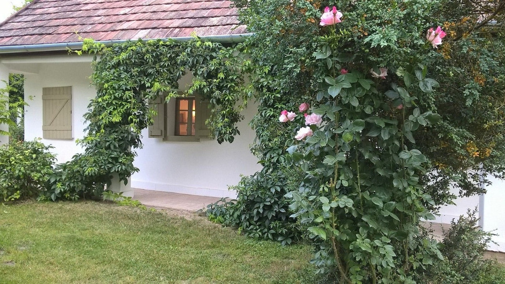 Maison Cirmi preview