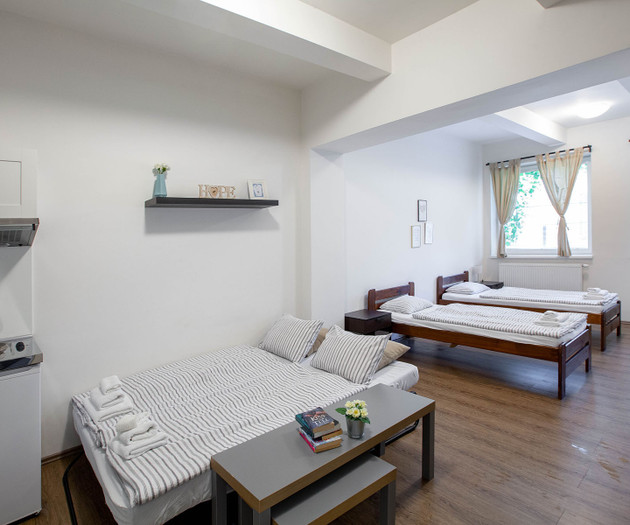 Studio apartment Zizkov