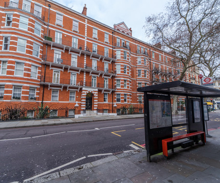 Bright Studio in Posh Chelsea