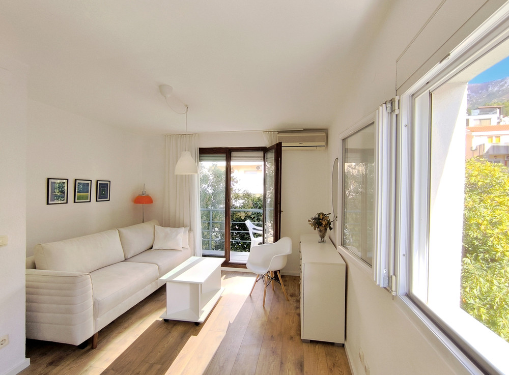 Bright 1BR flat with two balconies and parking preview
